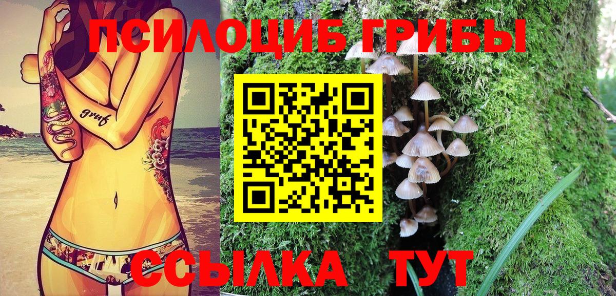 Галлюциногенные грибы Psilocybine cubensis  Вход с VPN  Сыктывкар 