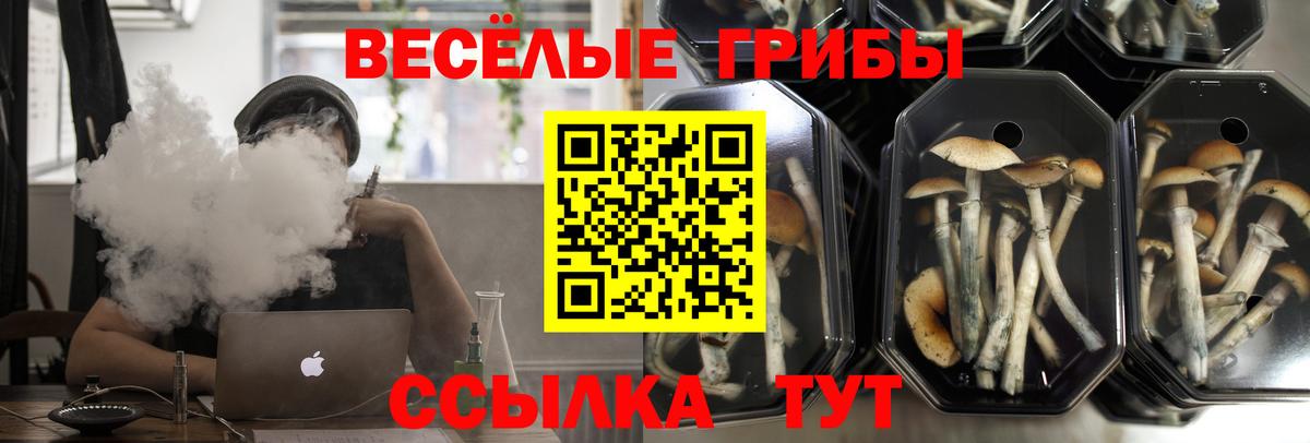 Псилоцибиновые грибы MAGIC MUSHROOMS Сыктывкар